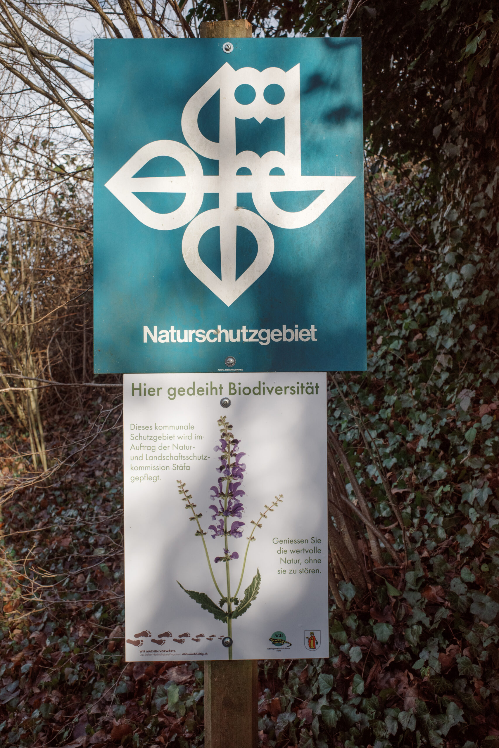 Informationstafel der Gemeinde Stäfa beim Naturschutzgebiet Lattenberg