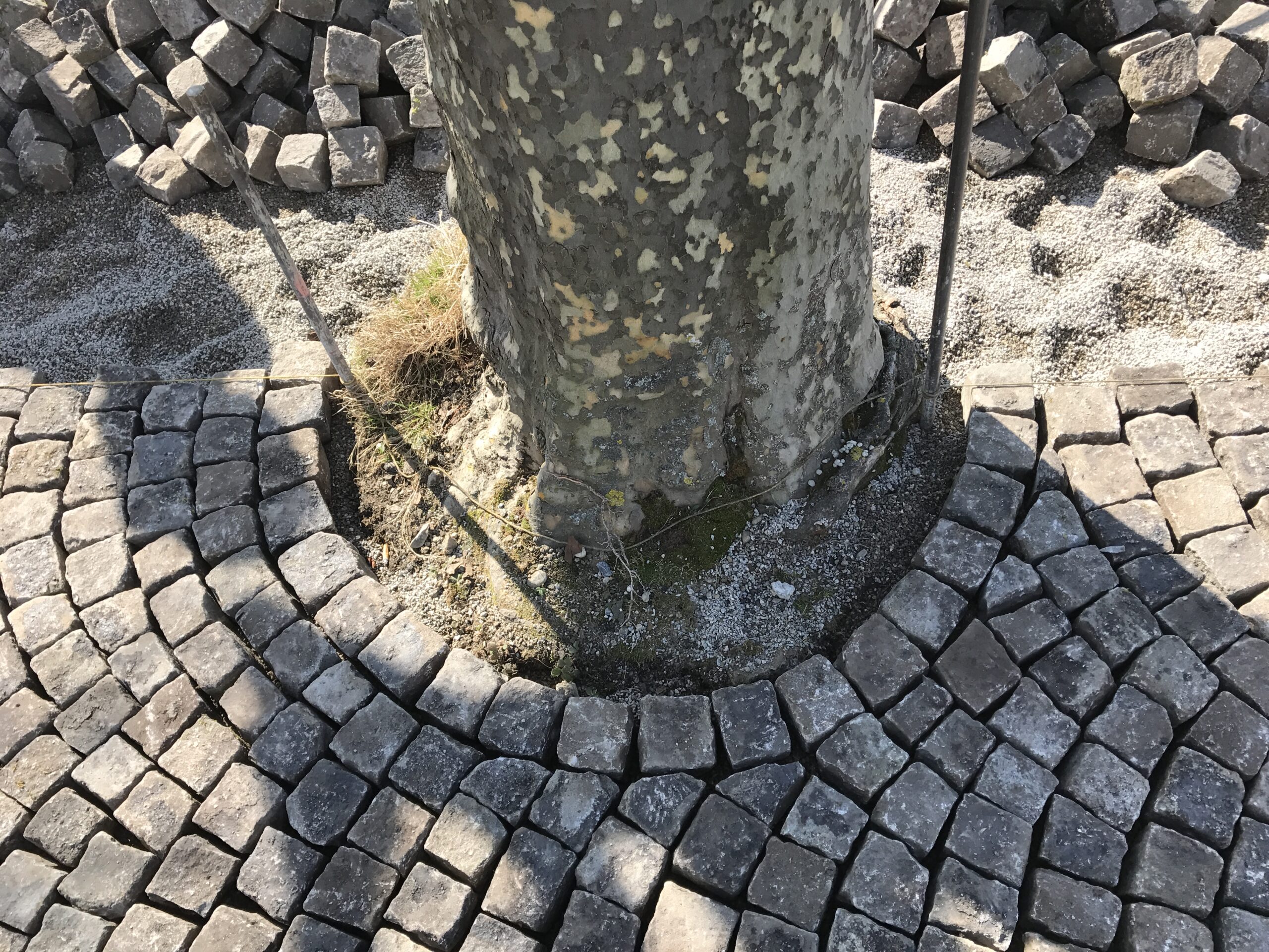 Pflästerung aus Grubensteinersteinen am Schiffsteg Stäfa